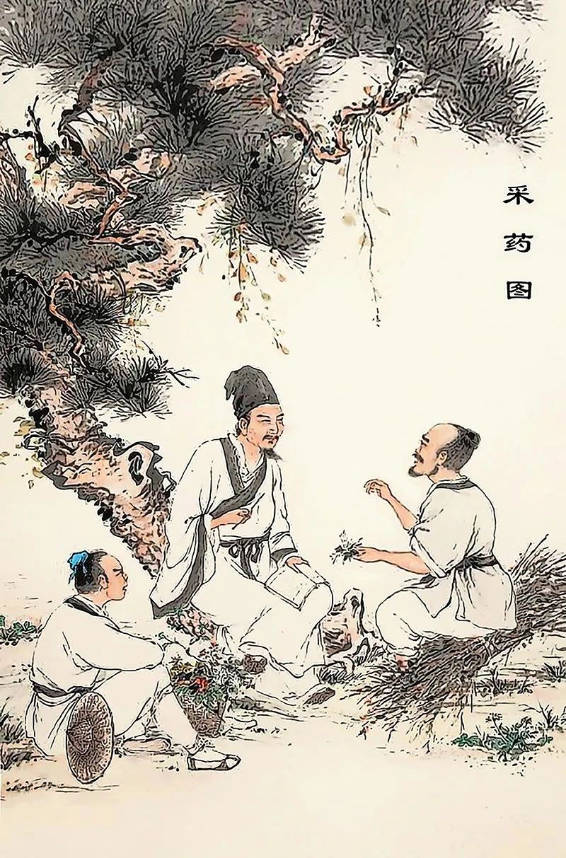 微信圖片_20241121151608.jpg